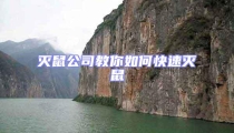 滅鼠公司教你如何快速滅鼠