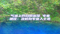 氣溫上升白蟻出沒 專家建議:及時向專業人士求