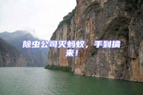 除蟲(chóng)公司滅螞蟻，手到擒來(lái)！