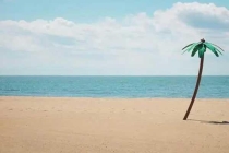 深圳專業滅蚊蠅公司