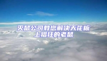 滅鼠公司教您解決天花板上猖狂的老鼠