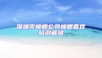 深圳滅蟑螂公司蟑螂喜歡鉆洞藏縫