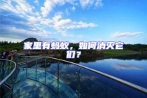 家里有螞蟻，如何消滅它們？