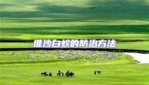 堆沙白蟻的防治方法