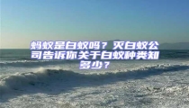 螞蟻是白蟻嗎?滅白蟻公司告訴你關于白蟻種類知多少?