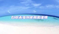 白蟻殺蟲劑使用需謹慎