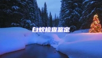 白蟻檢查鑒定