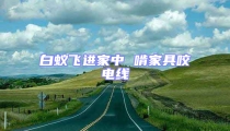 白蟻飛進家中 啃家具咬電線