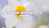 殺蟑膠餌-特效滅蟑藥,絕殺蟑螂!