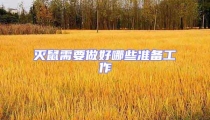 滅鼠需要做好哪些準(zhǔn)備工作