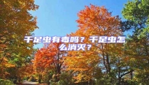千足蟲有毒嗎?千足蟲怎么消滅?