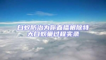 白蟻防治為你直播根除特大白蟻巢過程實錄