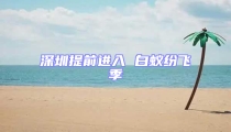深圳提前進入 白蟻紛飛季