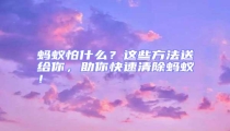 螞蟻怕什么?這些方法送給你,助你快速清除螞蟻!