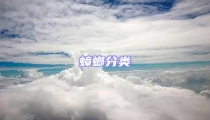 蟑螂分類