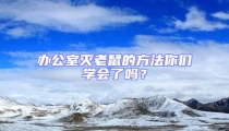 辦公室滅老鼠的方法你們學會了嗎?