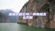 深圳滅鼠公司:養鵝場怎么滅鼠