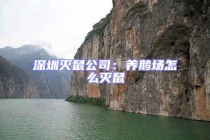 深圳滅鼠公司：養(yǎng)鵝場怎么滅鼠