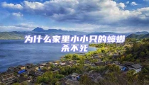 為什么家里小小只的蟑螂殺不死