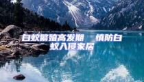 白蟻繁殖高發(fā)期  慎防白蟻入侵家居