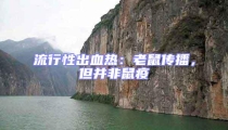 流行性出血熱:老鼠傳播,但并非鼠疫