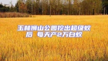 玉林獅山公園挖出超級蟻后 每天產2萬白蟻