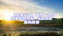 【除蟲公司】淄博一小區跳蚤擾民攻陷 或因流浪貓狗聚集
