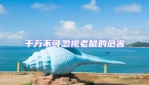 千萬不可忽視老鼠的危害