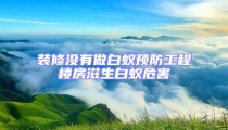 裝修沒有做白蟻預防工程樓房滋生白蟻危害
