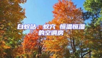 白蟻站:蟻穴 恒溫恒濕的空調房