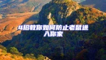 4招教你如何防止老鼠進入你家