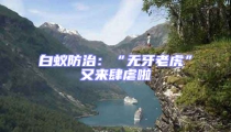 白蟻防治:“無牙老虎”又來肆虐啦