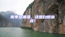 雨季多潮濕,注意白蟻出沒!