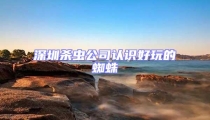 深圳殺蟲公司認識好玩的蜘蛛