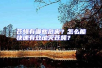 蒼蠅有哪些危害？怎么能快速有效地滅蒼蠅？