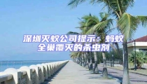 深圳滅蟻公司提示:螞蟻全巢覆滅的殺蟲劑