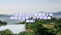 【殺蟲公司】家里床上有跳蚤怎么辦?6個(gè)方法來解決!