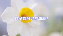 蚊子如何尋找血源？