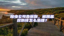 除蟲公司告訴你,被跳蚤咬傷該怎么處理?