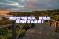 除蟲公司告訴你，被跳蚤咬傷該怎么處理？