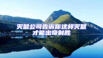 滅鼠公司告訴你這樣滅鼠才能出奇制勝