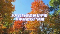 上萬只白蟻殺進女子家 8小時后蟻尸成堆