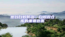 炮臺(tái)白蟻防治:白蟻對(duì)倉庫的重要危害