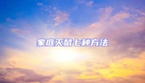 家庭滅鼠七種方法