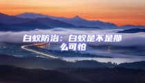 白蟻防治:白蟻是不是那么可怕