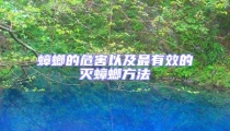 蟑螂的危害以及最有效的滅蟑螂方法