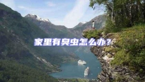 家里有臭蟲怎么辦?