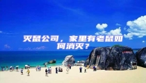 滅鼠公司,家里有老鼠如何消滅?