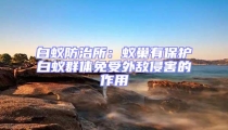 白蟻防治所:蟻巢有保護白蟻群體免受外敵侵害的作用
