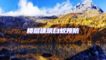 樓層建筑白蟻預防